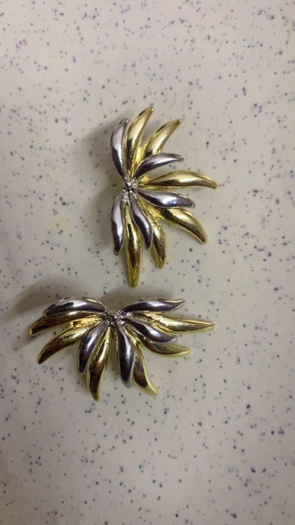 Golden Silver Earrings - Image 2