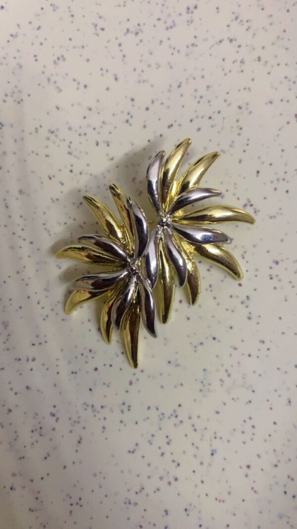 Golden Silver Earrings